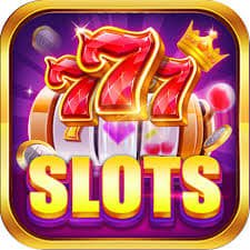 nextogel slide 3